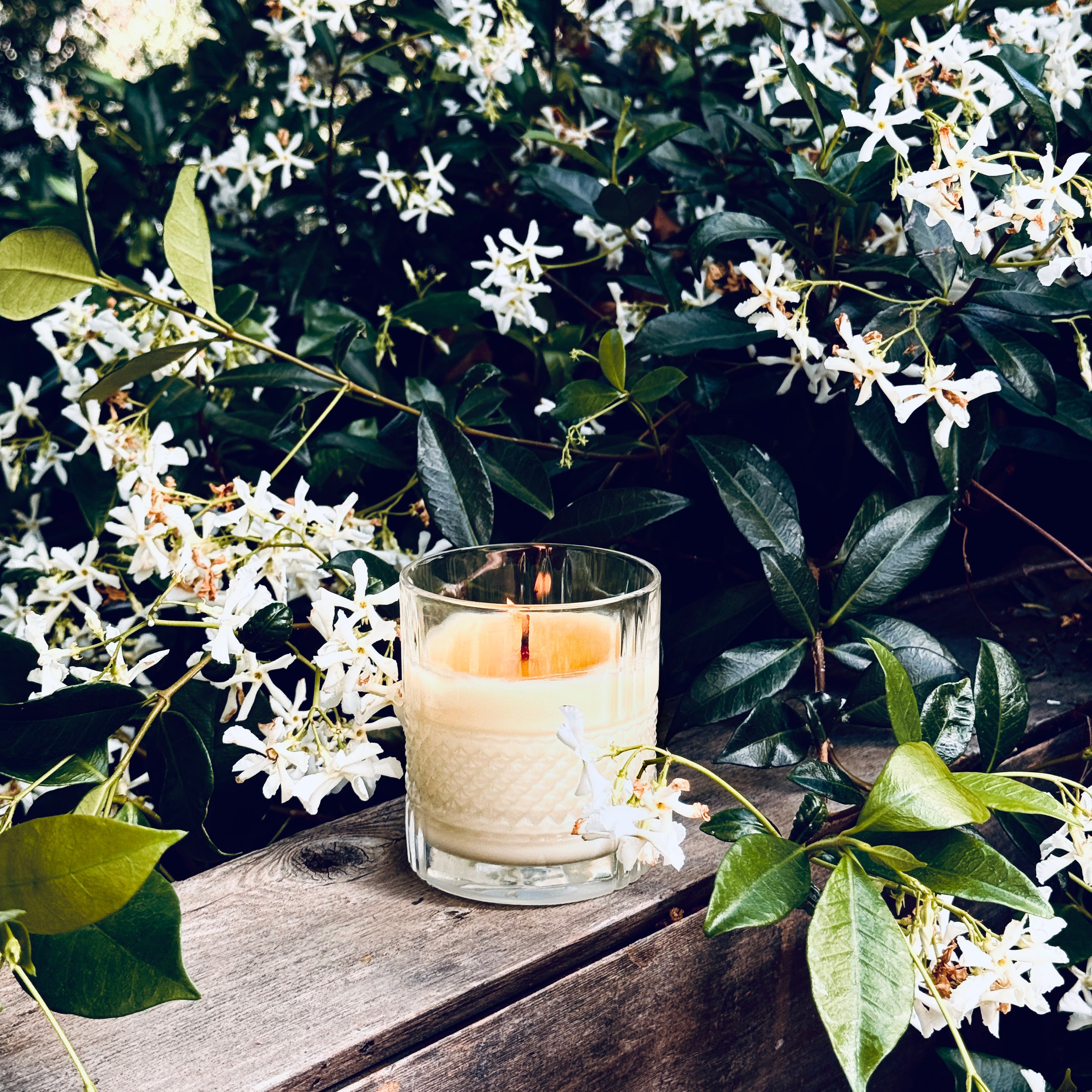 DOLLY SPRING '26 - JASMINE, ROSE GERANIUM + BLACK PEPPER