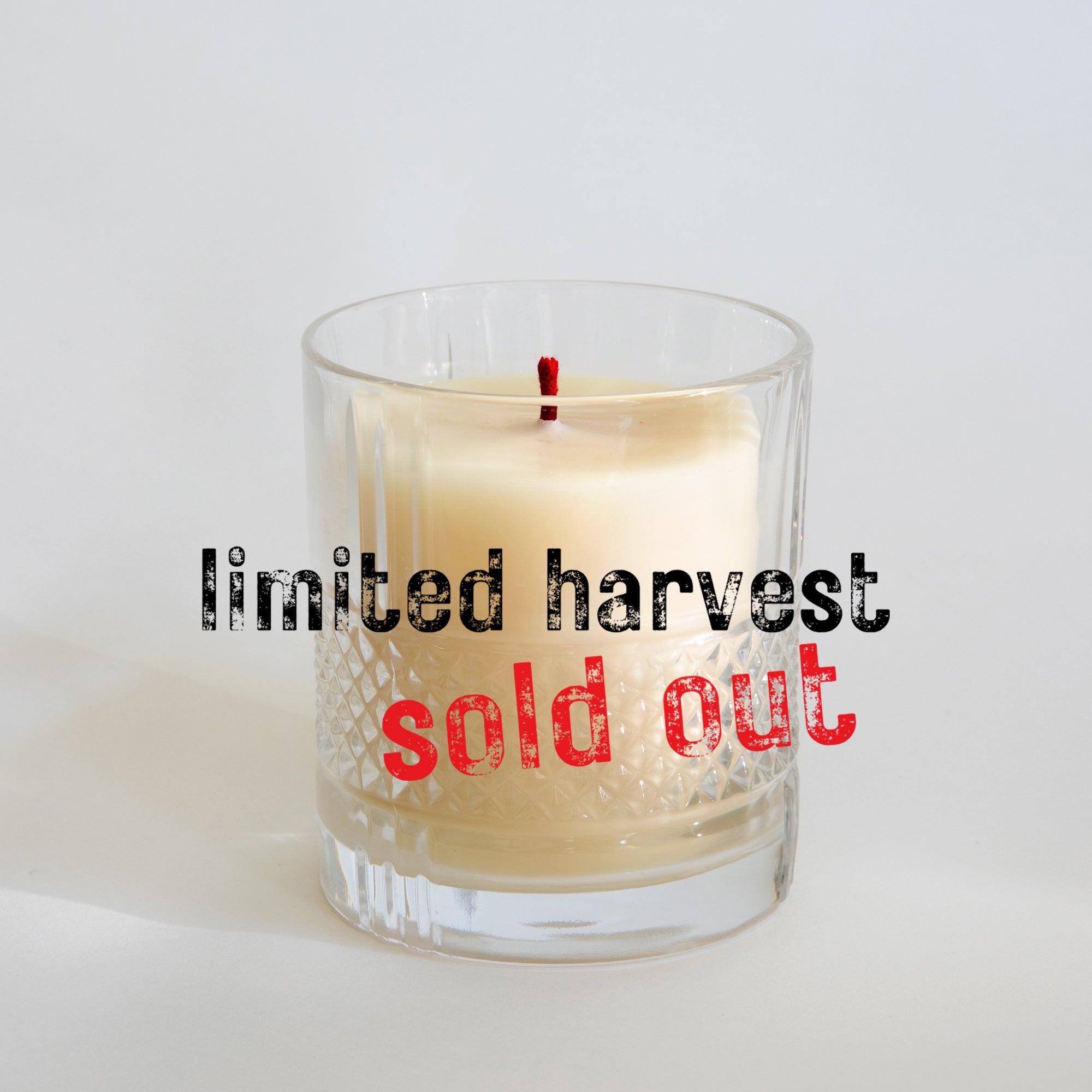 DOLLY Nº3 - BERGAMOT, CORIANDER + SWEET MARJORAM